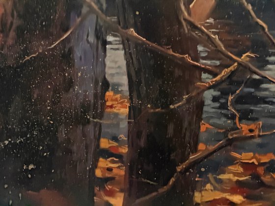 Autumn Passage