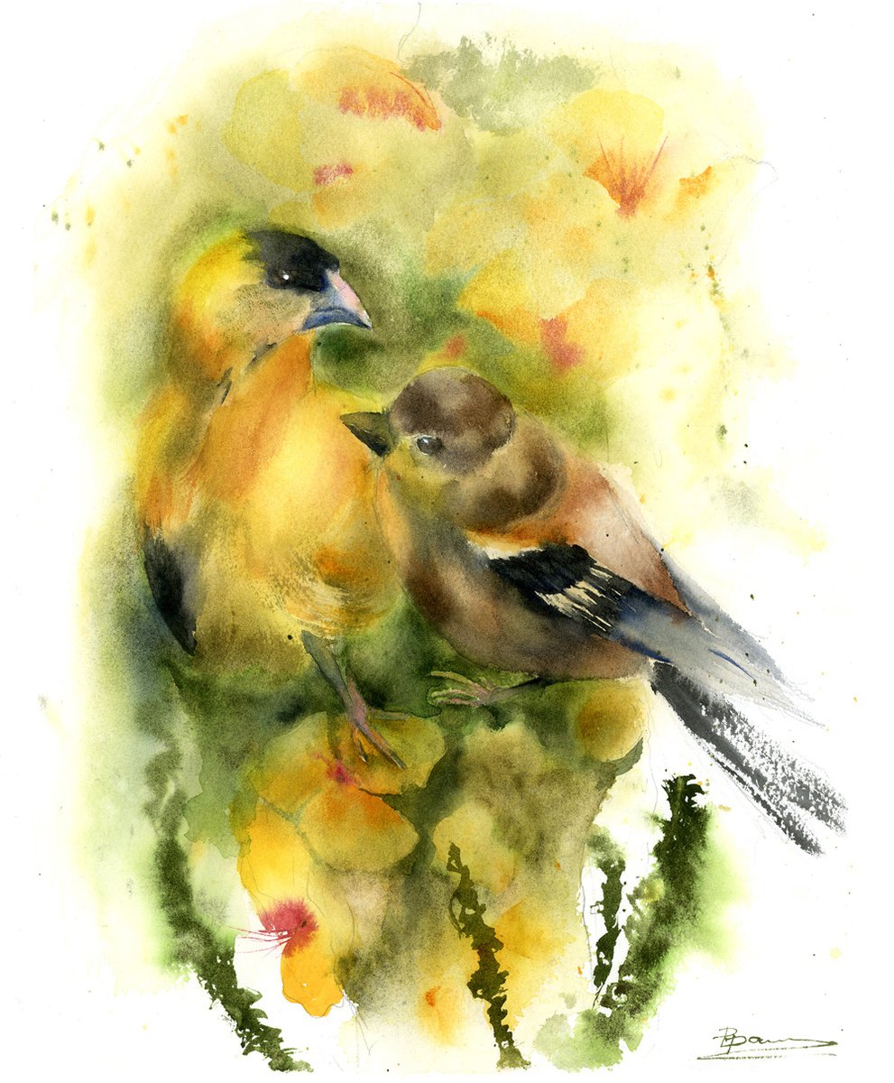 Birds in Love (3) by Olga Shefranov (Tchefranova)