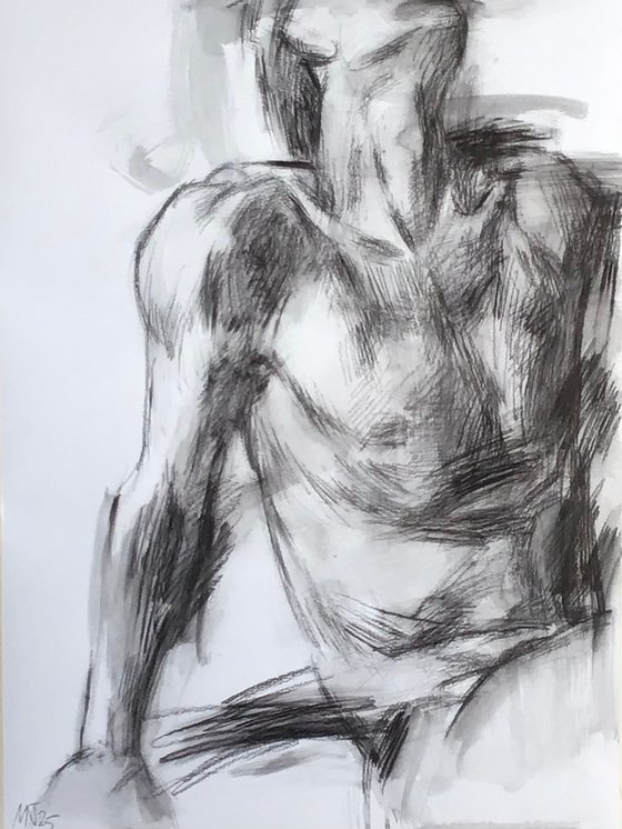 Sketch of a male torso