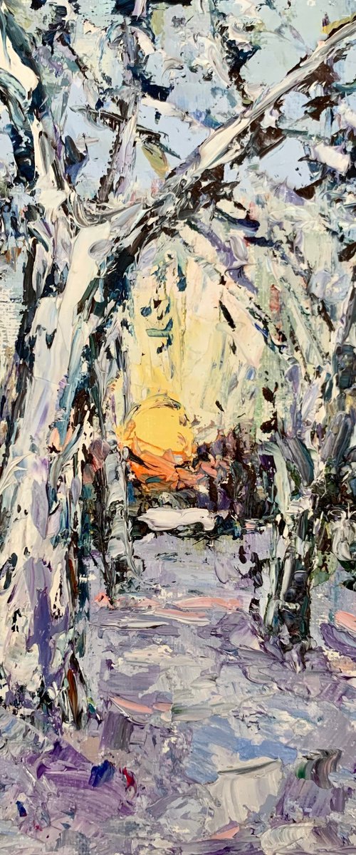 Sunset in winter forest by Vilma Gataveckienė