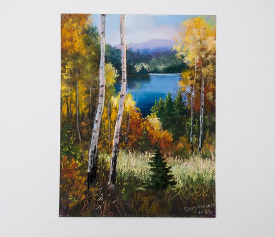 Autumn forest. Fall landscape. Pastel Art.