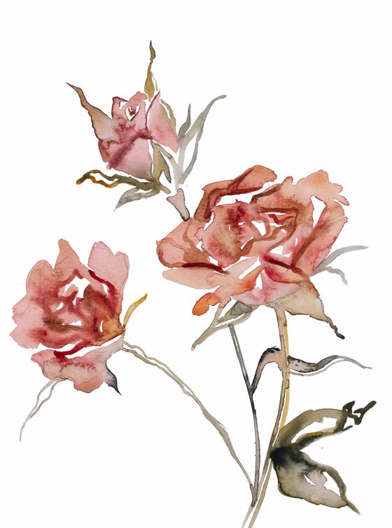 Rose Study No. 57