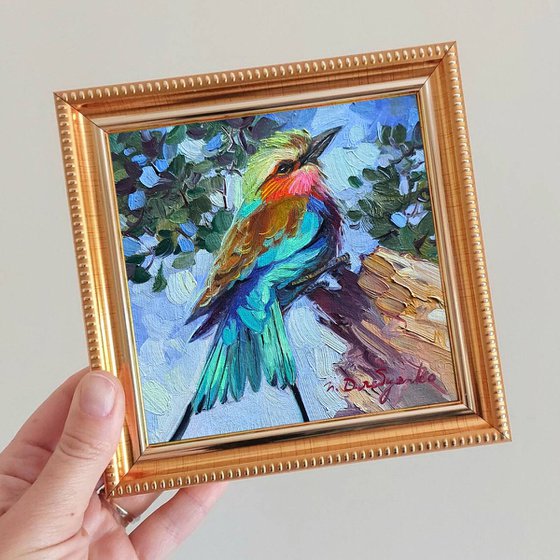 Bird painting original 5x5 inch, Lilac-breasted Roller, Small bird art in blue frame