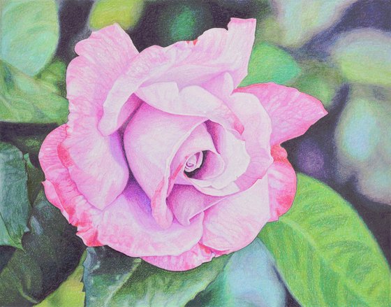 Soft Bloom