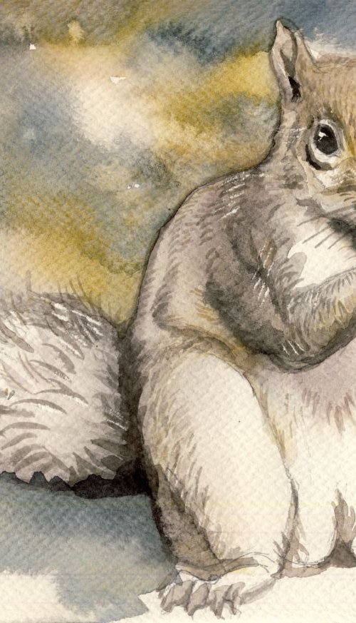 squirrel watercolor by Alfred  Ng