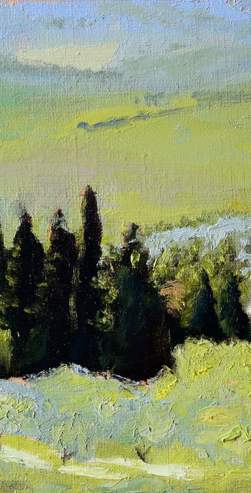 Fields of Pienza by Andrea Bocedi