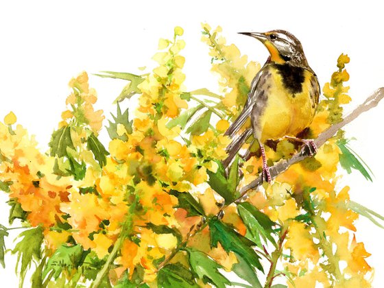 Meadowlark and Flowers