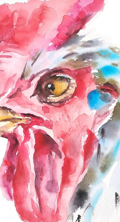 Rooster artwork, watercolor illustration by Tanya Amos