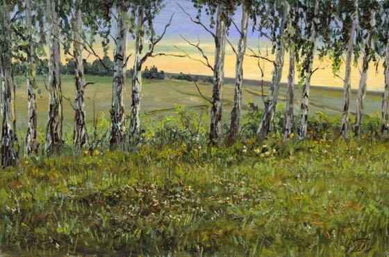 Birch Trees at Sunrise. Signed professional landscape