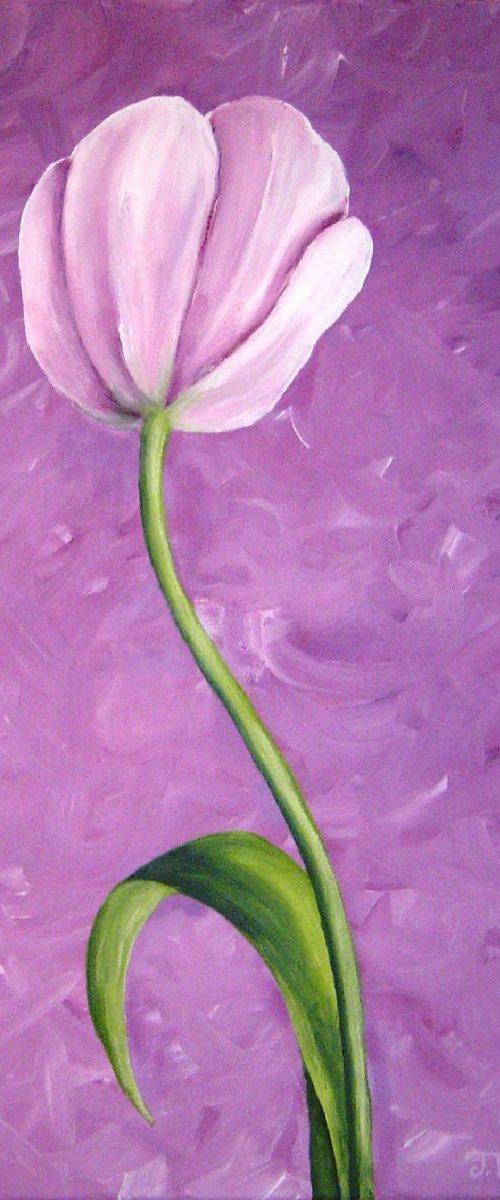 Tulip I by Jennifer Cussons