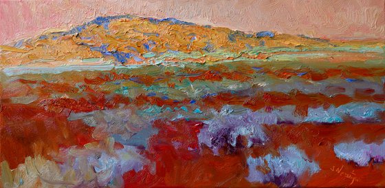 Rose Evening in the Desert