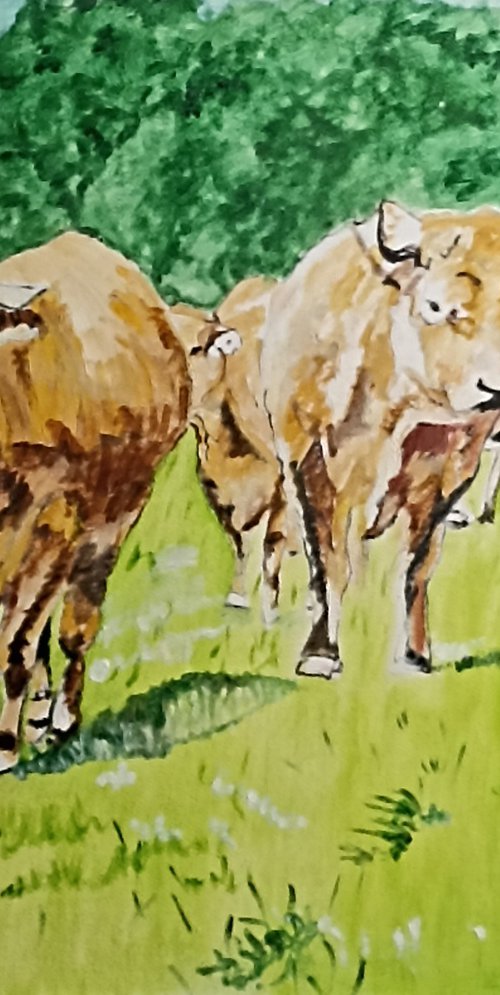 Cows 1 by Isabelle Lucas