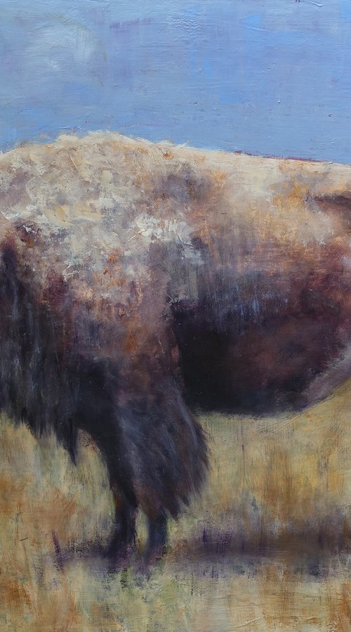 Buffalo by Sarah Kennedy