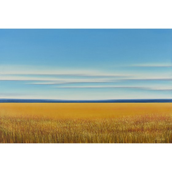 Field of Gold - Blue Sky Landscape