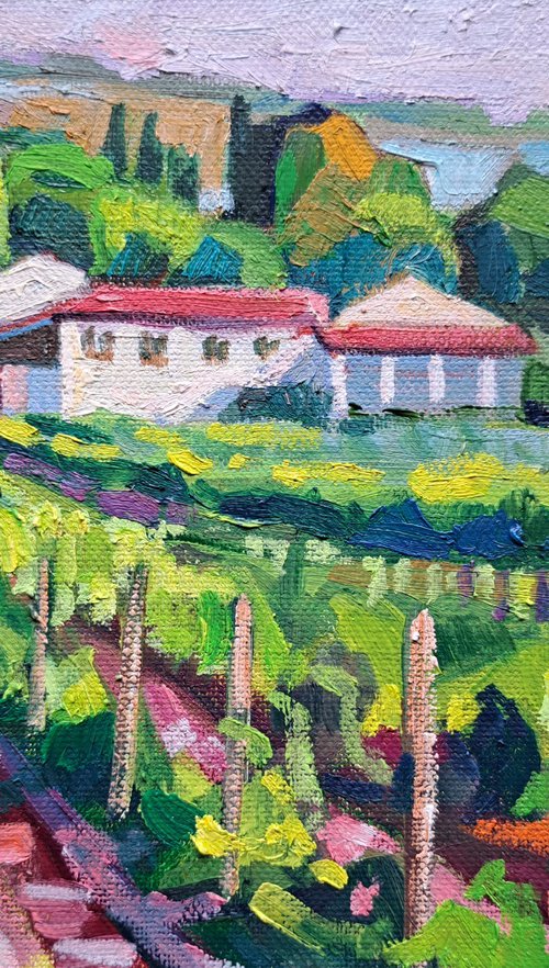 Tuscan vineyards by Maja Đokić Mihajlović
