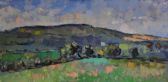 The Downs at Burpham.