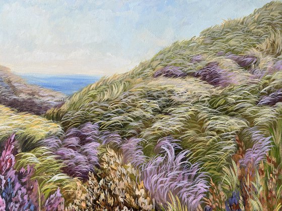 Sunny Day in the Dunes