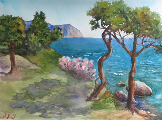 Pines and sea