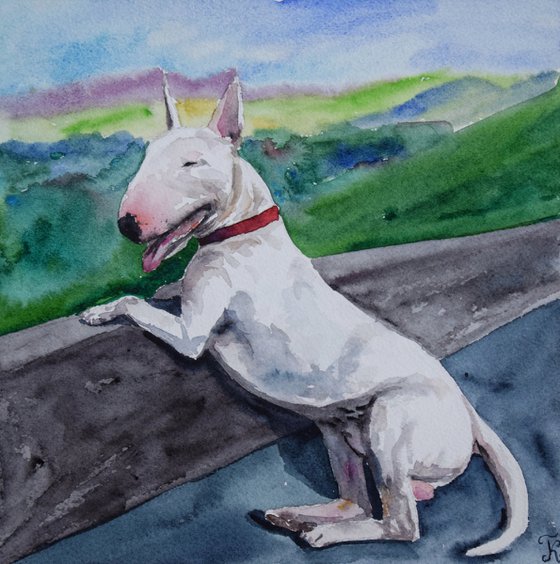 Bull Terrier watercolor painting, dog portrait, animalistic wall art