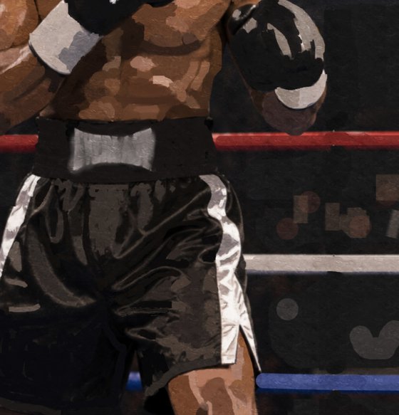 THE BOXER 2638