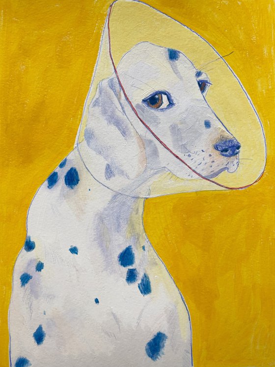 Dalmatian