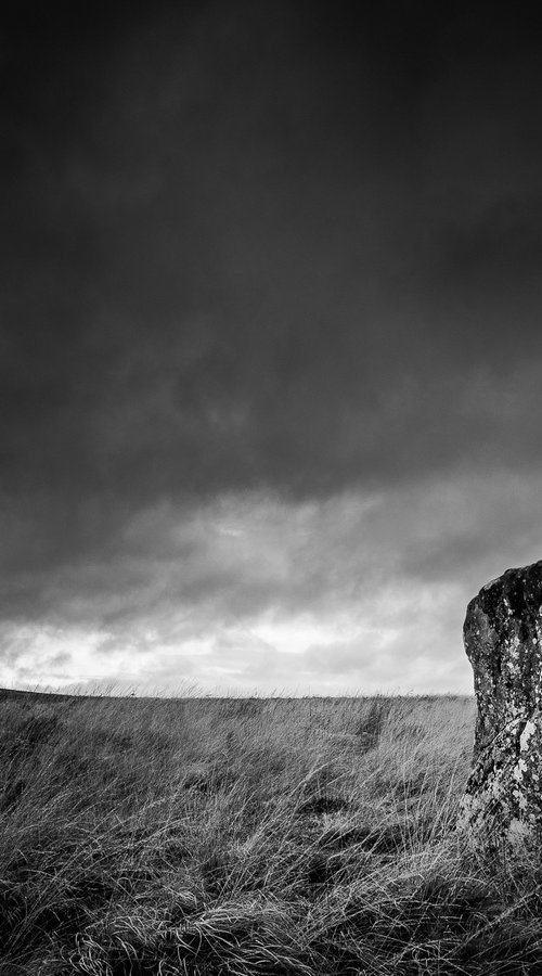 last stone standing i by Marcus Scott