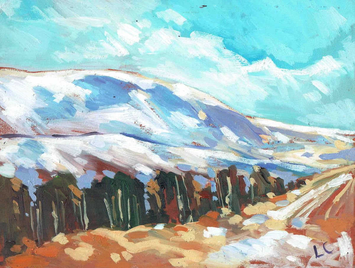 Coity Mountain in Snow. No.201 of 365 Project by Louise Collis