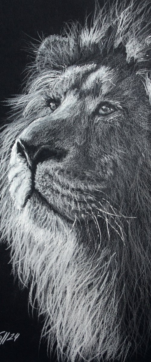 Lion II by Salana Art