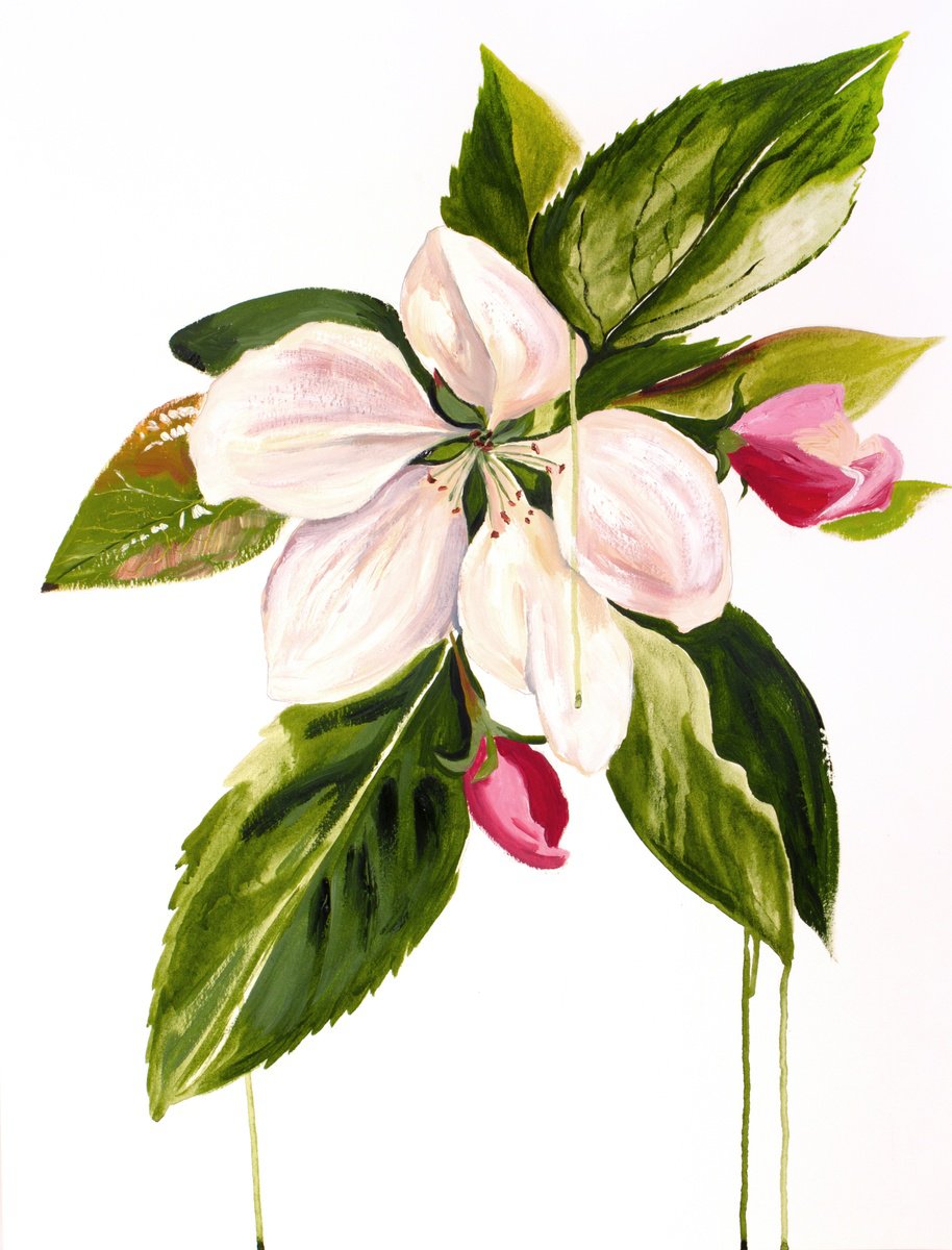 Expressive Botanical Oil Painting By Elizabeth Becker, 18 X 24, Cherry Blossom No. 40, Original Artwork