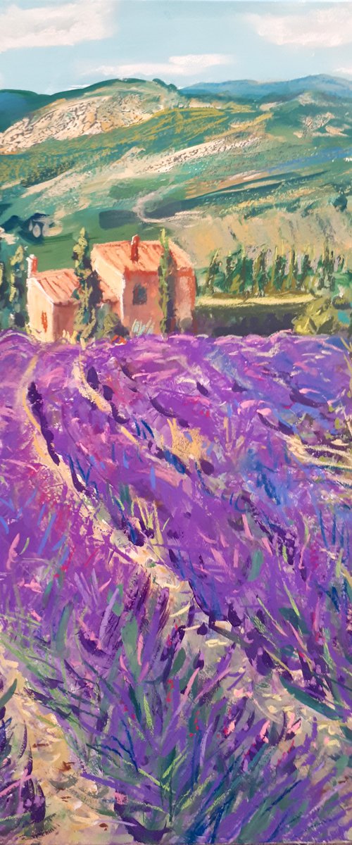 Happy farm of lavender II /  ORIGINAL PAINTING by Salana Art / Svetlana Samovarova