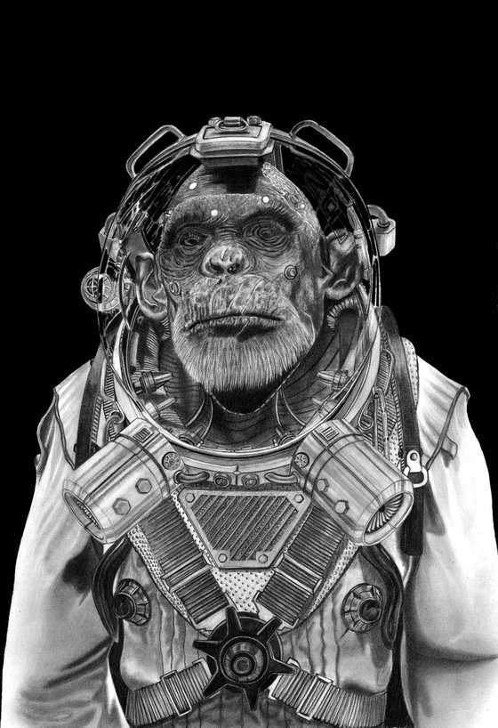 Space Chimp