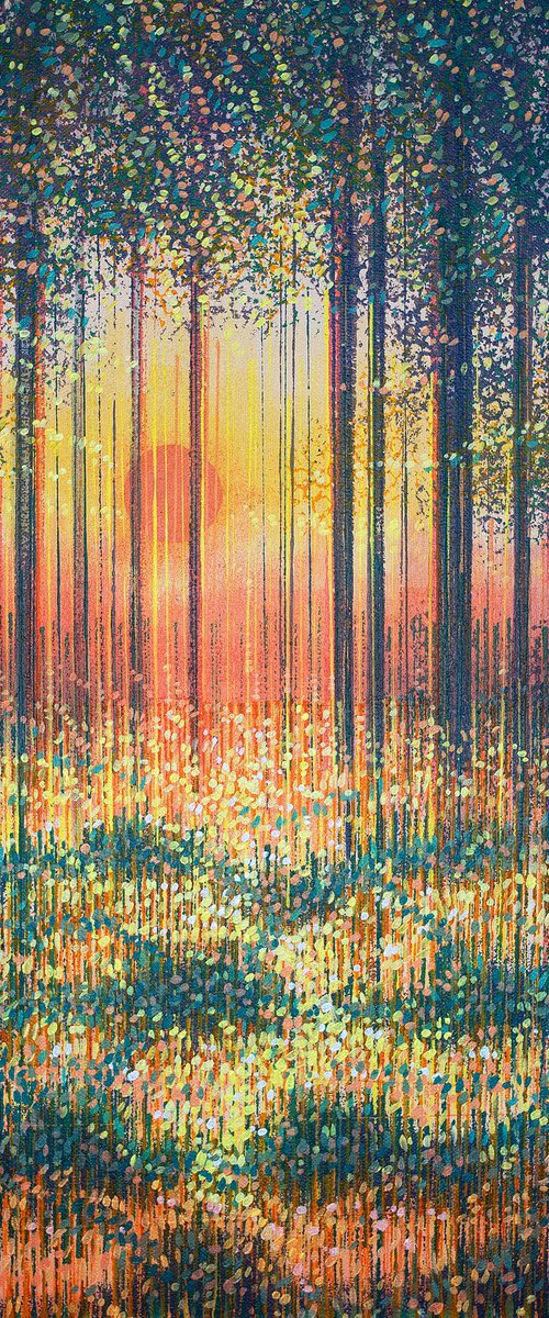 Trees At Sunset by Marc Todd