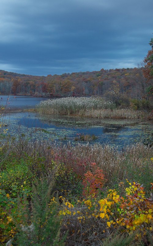 Benjamin Meadow 1 by MICHAEL FILONOW