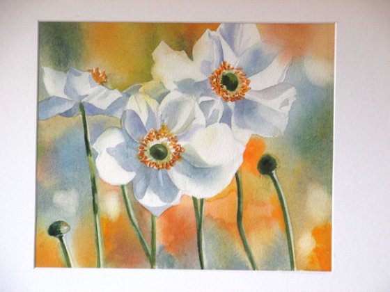 A painting a day #24 "Autumn anemone"