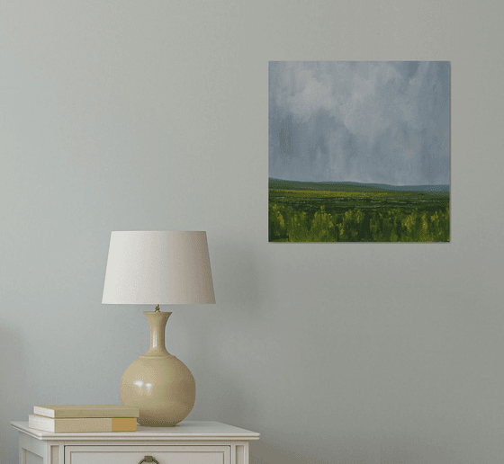 Across the wetlands, Irish landscape