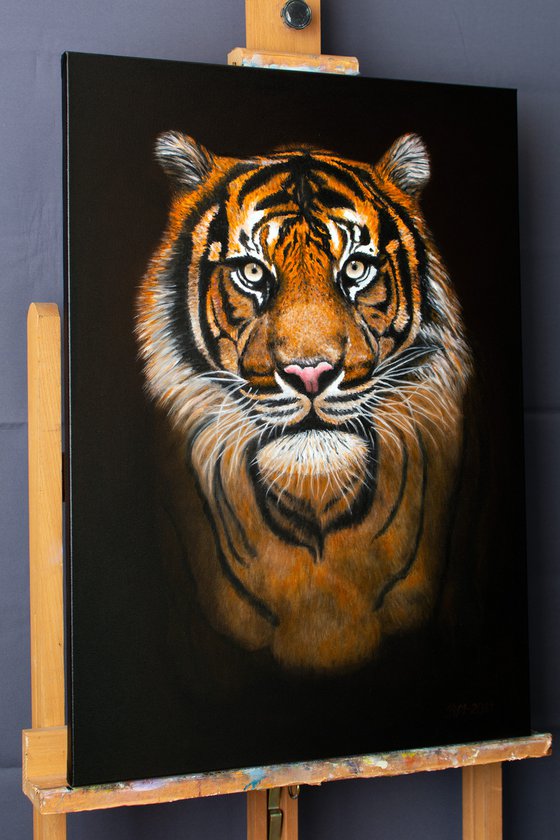 PREDATOR by Vera Melnyk (gift, tiger painting, tiger art, tiger face, home decor, wall art, artfinder art for sale)
