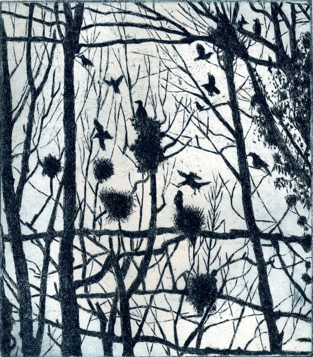 Animal Etchings & Engravings By Janis Goodman, 8 X 9, Rookery Ll, Original Artwork