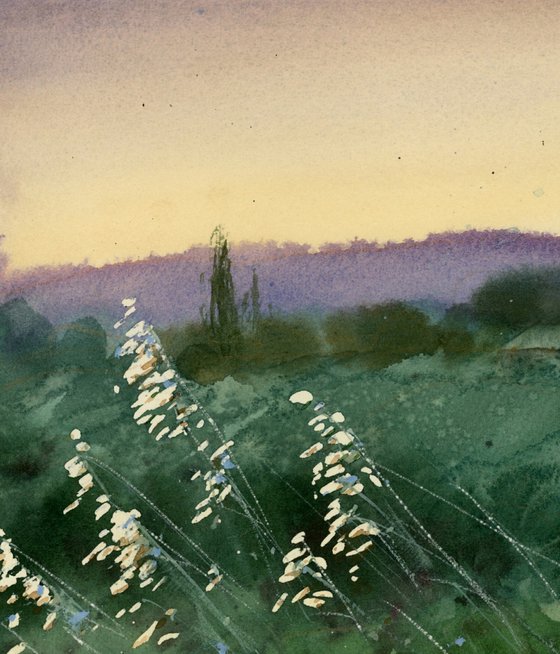 Evening in Provence