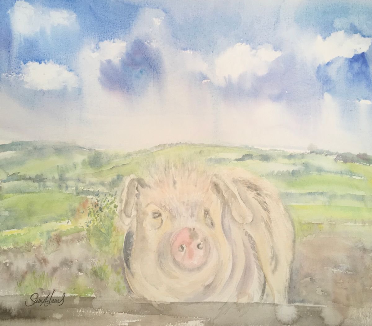 A pigs life by Samantha Adams professional watercolorist