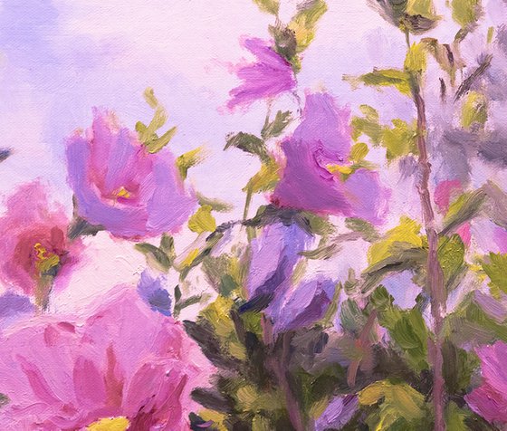 Purple Rose of Sharon Blossoms