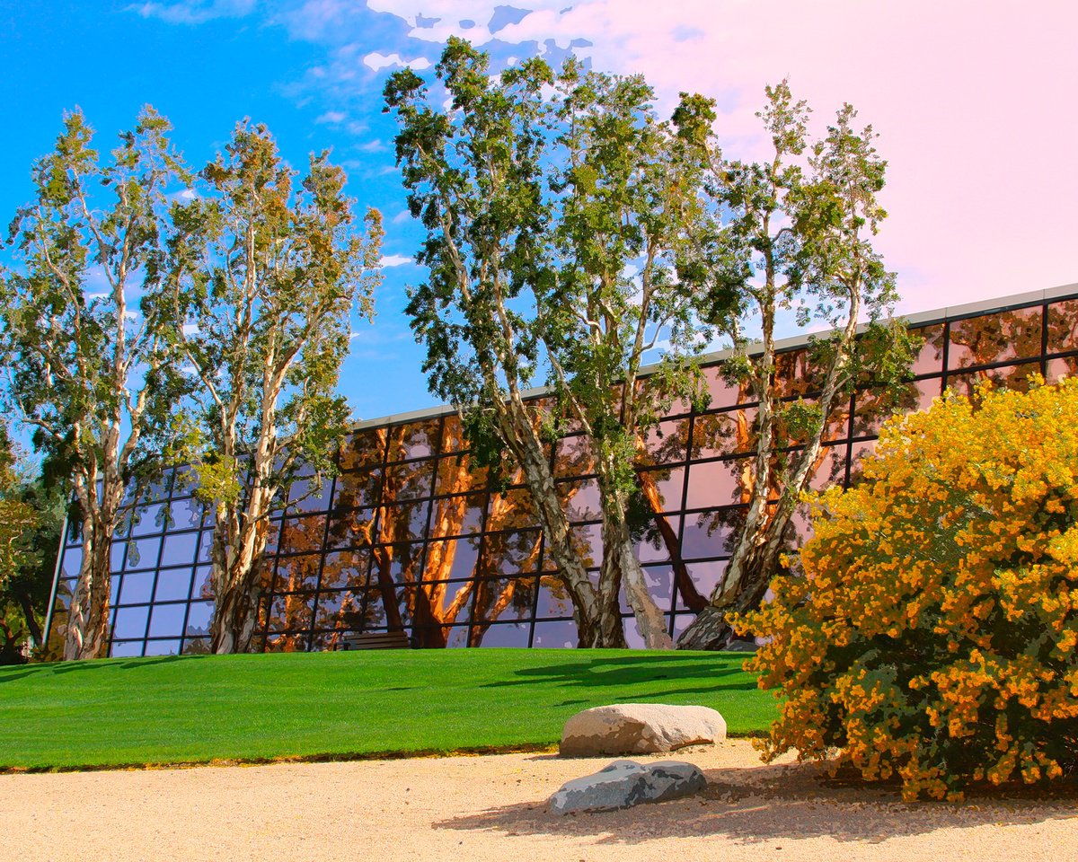 Impressionistic Cityscapes Photograph By William Dey, 22 X 18", The Pink Mirror Palm Springs, Original Artwork