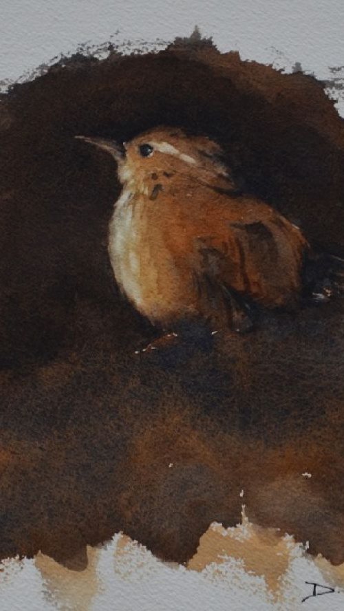 Little wren by Denise Mitchell