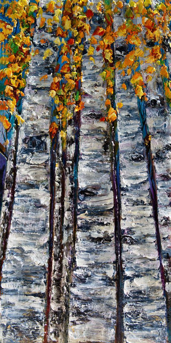 Colorado Woodland
