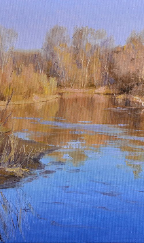 In early spring by Ruslan Kiprych