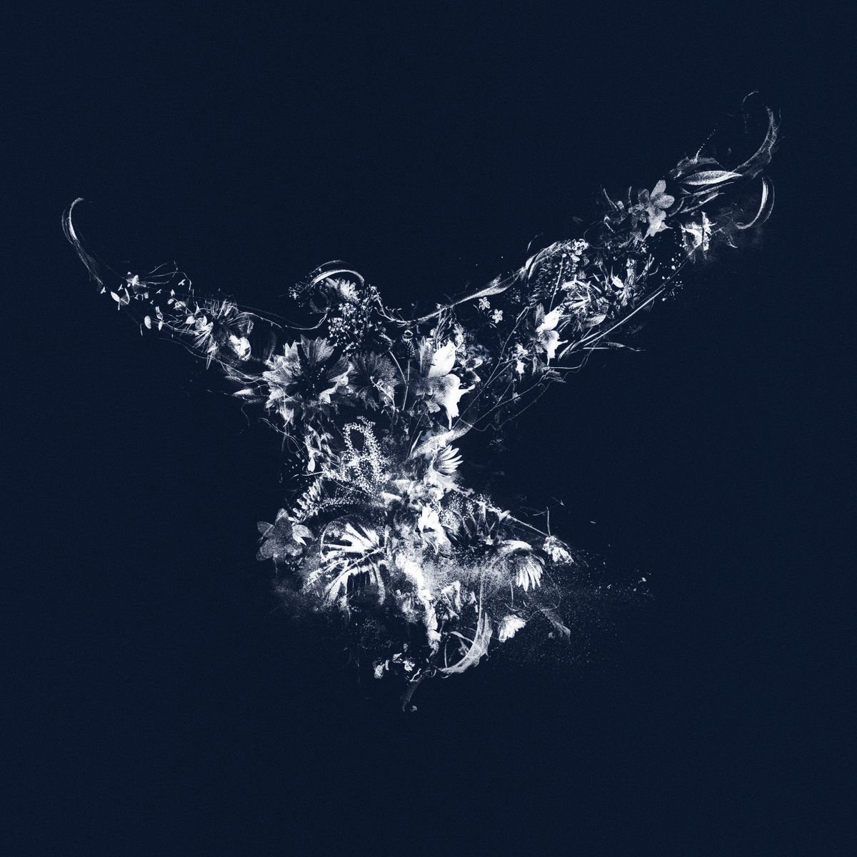 Animal Painting By Teis Albers, 39 X 39", In Flight, Original Artwork