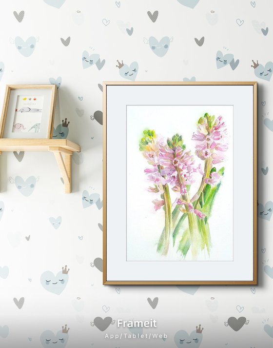 Blush in bloom original hyacinth watercolour