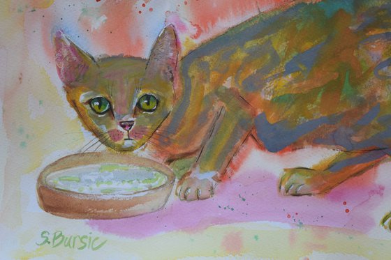 Kitten having a drink in watercolour