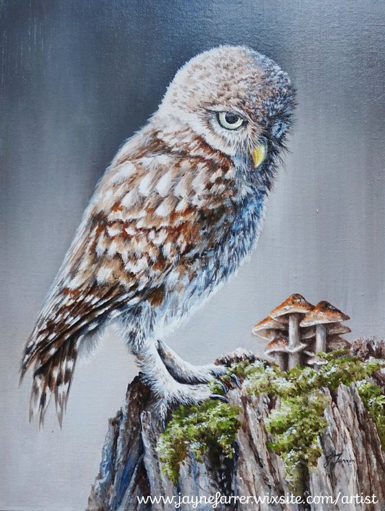 Little Owl with Mushroom 11.75x15.75inch