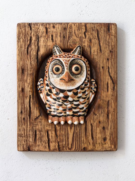 Owl