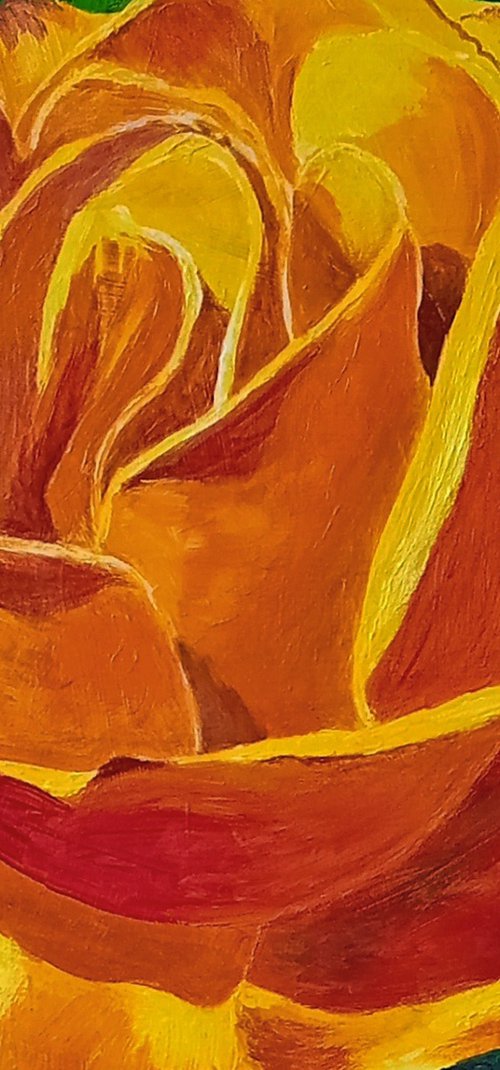 Saffron Flame Rose by Liubov Samoilova